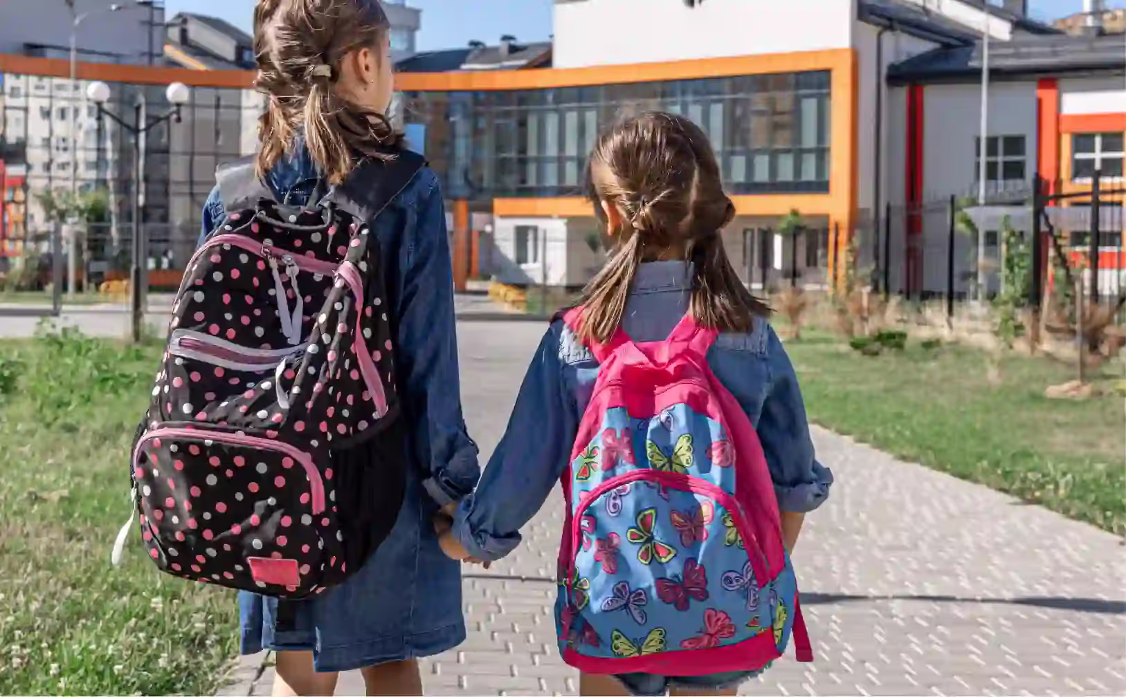 State Primary Schools